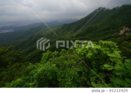 屋外 室外 旅行 91212420