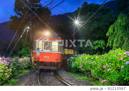 箱根登山電車_あじさいライトアップの絶景 91213567