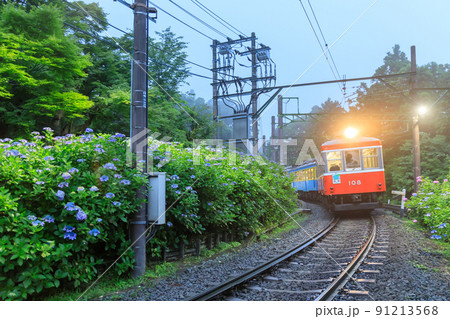 箱根登山電車_あじさいライトアップの絶景 91213568