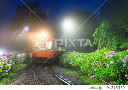 箱根登山電車_あじさいライトアップの絶景 91213570