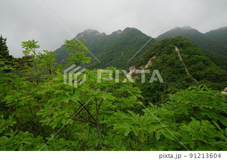 風景 山 自然 91213604