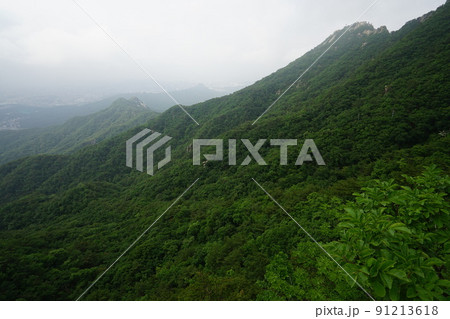 風景 山 自然 91213618