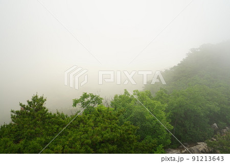 風景 山 自然 91213643