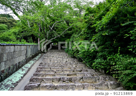 桑実寺 桑実寺 91213869