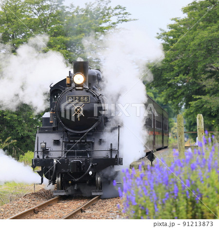 初夏の真岡鉄道SL 91213873