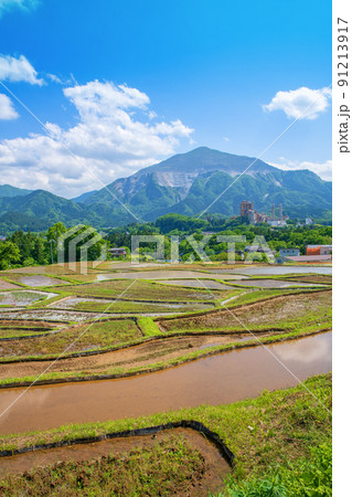 寺坂棚田と武甲山　田植えの季節　新緑の風景　 91213917