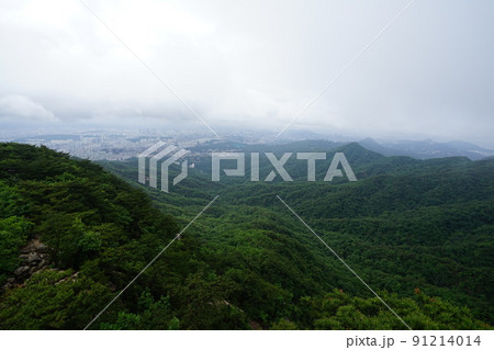 木 錆 風景 91214014