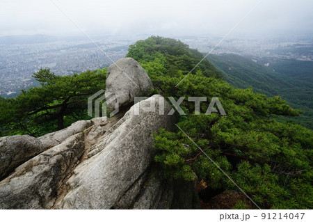 木 錆 風景 91214047