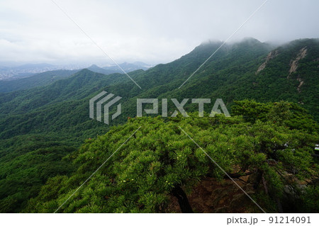 木 錆 風景 91214091