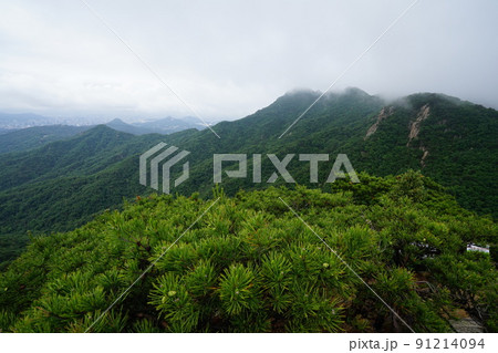 木 錆 風景 91214094