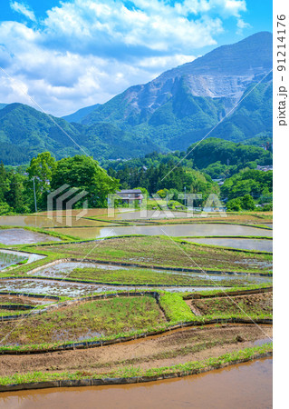 寺坂棚田と武甲山 田植えの季節 新緑の風景 寺坂棚田と武甲山 田植えの季節 新緑の風景 91214176