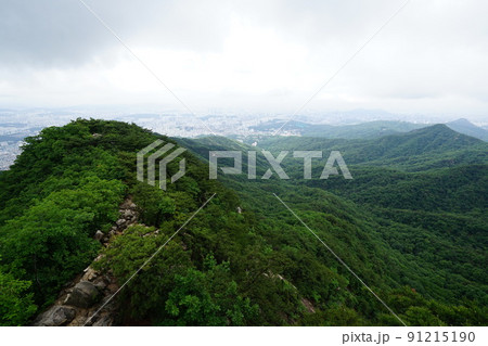 屋外 室外 景色 91215190