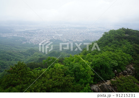 屋外 室外 景色 91215231