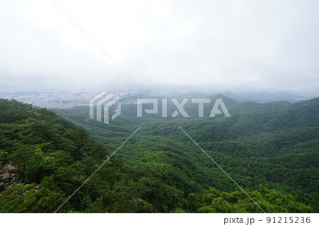 屋外 室外 景色 91215236