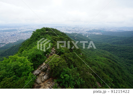 木 展望 旅行 91215422