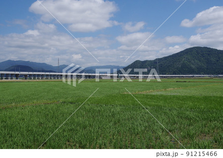 北陸新幹線 延伸工事 鯖江市舟枝町 2022年6月 北陸新幹線 延伸工事 鯖江市舟枝町 2022年6月 91215466