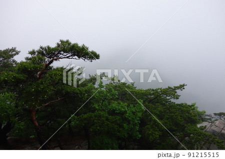 風景 山 雲 91215515