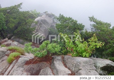 風景 山 雲 91215522