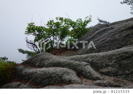 風景 山 雲 91215535