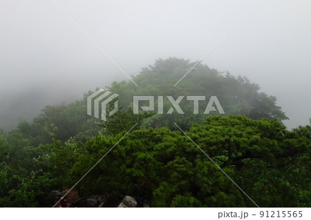 風景 山 雲 91215565