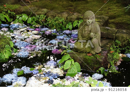 長谷寺 石仏とアジサイ Hasedera temple 長谷寺 石仏とアジサイ Hasedera temple 91216058