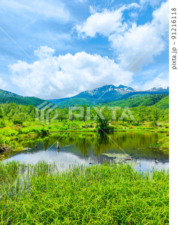 初夏の乗鞍高原（オソメ池と乗鞍岳） 91216118