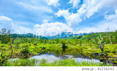 初夏の乗鞍高原（オソメ池と乗鞍岳） 91216141