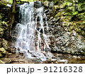 母の白滝 91216328
