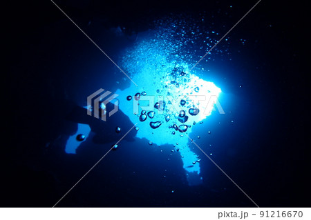 沖縄県宮古島にダイビングで行ってみた 沖縄県宮古島にダイビングで行ってみた 91216670