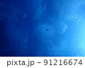 沖縄県宮古島にダイビングで行ってみた 91216674