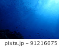沖縄県宮古島にダイビングで行ってみた 91216675