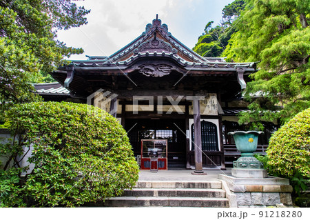 神奈川県鎌倉市 安養院　～本堂～ 91218280