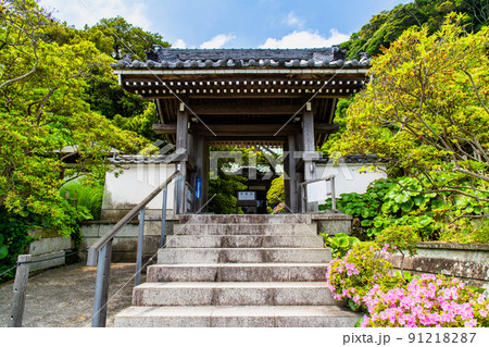 神奈川県鎌倉市 安養院　～山門～ 91218287