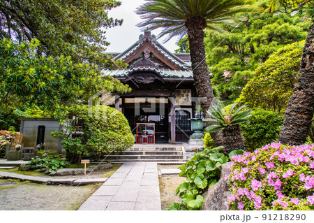 神奈川県鎌倉市 安養院　～本堂～ 91218290