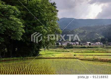 越後新潟の旅(まるで北欧のような家々が立つこの米の産地は冬には2メールを超える深雪がある南魚沼市。) 越後新潟の旅(まるで北欧のような家々が立つこの米の産地は冬には2メールを超える深雪がある南魚沼市。) 91218892