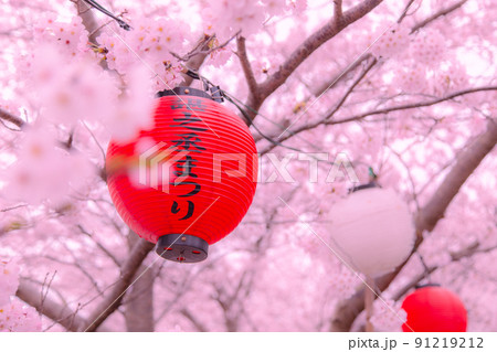 香川県三豊市財田町 戸田ダム公園の桜 香川県三豊市財田町 戸田ダム公園の桜 91219212