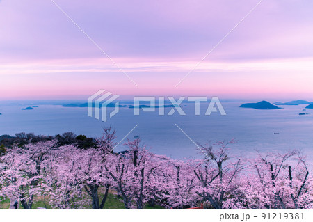世界が認めた桜の名所 紫雲出山 世界が認めた桜の名所 紫雲出山 91219381