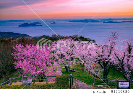 世界が認めた桜の名所　紫雲出山 91219386