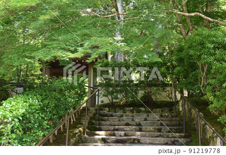 初夏の大原の風景 京都 初夏の大原の風景 京都 91219778