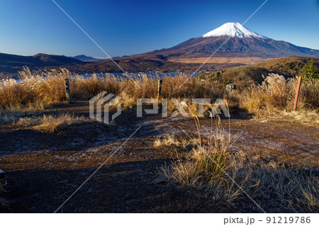 晩秋の山中湖・平尾山から見る富士山 91219786