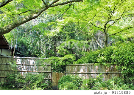 嵯峨野・祇王寺　青もみじと苔の庭 91219889
