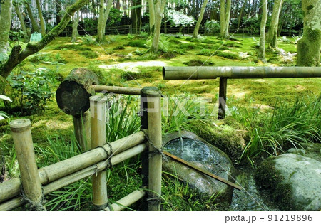 嵯峨野・祇王寺　青もみじと苔の庭 91219896