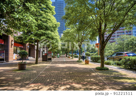 東京の都市風景 五反田 東京の都市風景 五反田 91221511