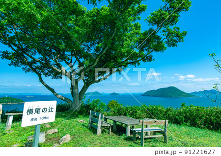 樹齢1200年の巨木がそびえる神秘の小島　志々島 91221627
