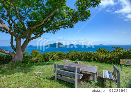 樹齢1200年の巨木がそびえる神秘の小島　志々島 91221642