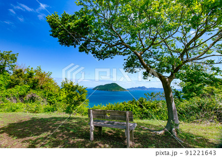 樹齢1200年の巨木がそびえる神秘の小島　志々島 91221643