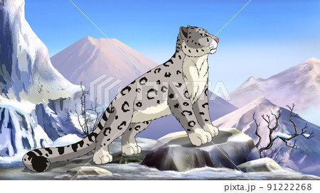Snow leopard in the mountainsのイラスト素材 [91222268] - PIXTA