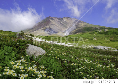 夏の旭岳 91224213
