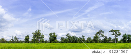 Panoramic views of the fields and the beautiful sky Panoramic views of the fields and the beautiful sky 91224567