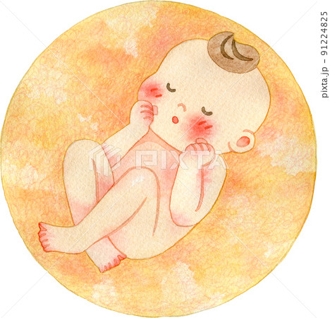 胎児のイメージイラスト 胎児のイメージイラスト 91224825